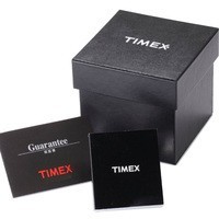 Часы Timex Q DIVER Tx2v00100
