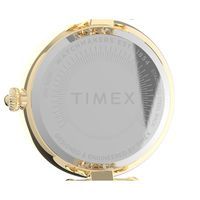 Часы Timex Asheville Tx2v02500